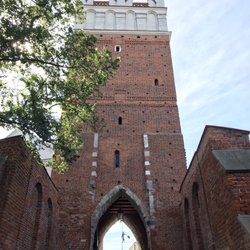 Brama opatowska - Tower