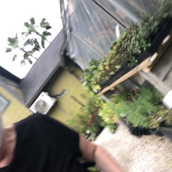 New Roots Landscaping - a man in a greenhouse - Landscaping Near Me - Houston, Texas New Roots Landscaping - a man in a greenhouse - Landscaping Near Me - Houston, Texas