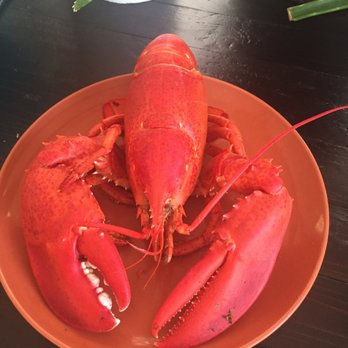 Off the Boat Lobster - 2 lb'er soft shell - Seafood Markets Near Me - York, Maine