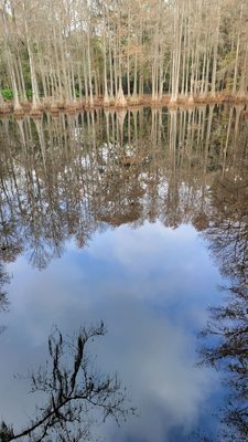 Tallahassee Museum by null