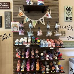 No better place to get prepared for your dog's birthday No better place to get prepared for your dog's birthday
