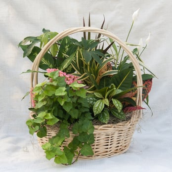 Thornton's Hillside Gardens - Dish gardnes - Florists Near Me - Poughkeepsie, New York