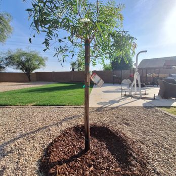 Cougar V Hardscapes - Landscaping Near Me - Phoenix, Arizona