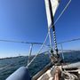 Dog Gone Sailing Charters