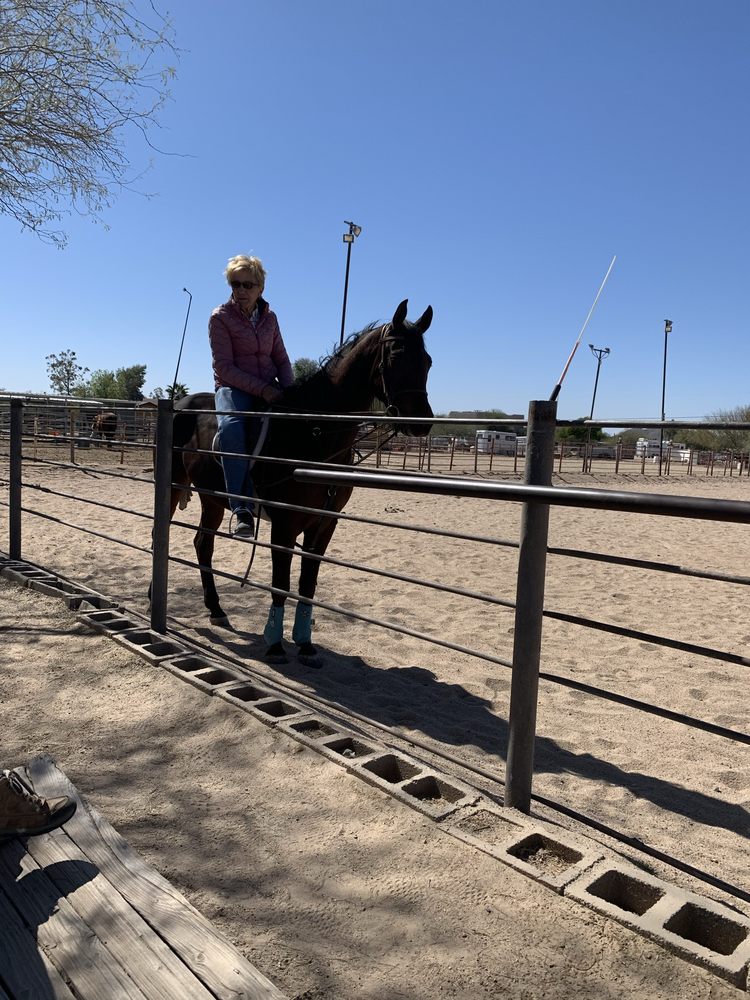 Twin L Performance Horses - equestrian in Cave Creek, AZ