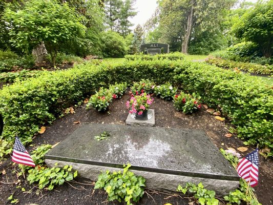 Grave of Colonel Harland Sanders by null