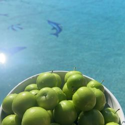 Armash Produce - Salor / Shlor