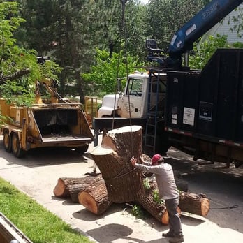 Tip Top Tree Service - Tree Services Near Me Tip Top Tree Service - Tree Services Near Me