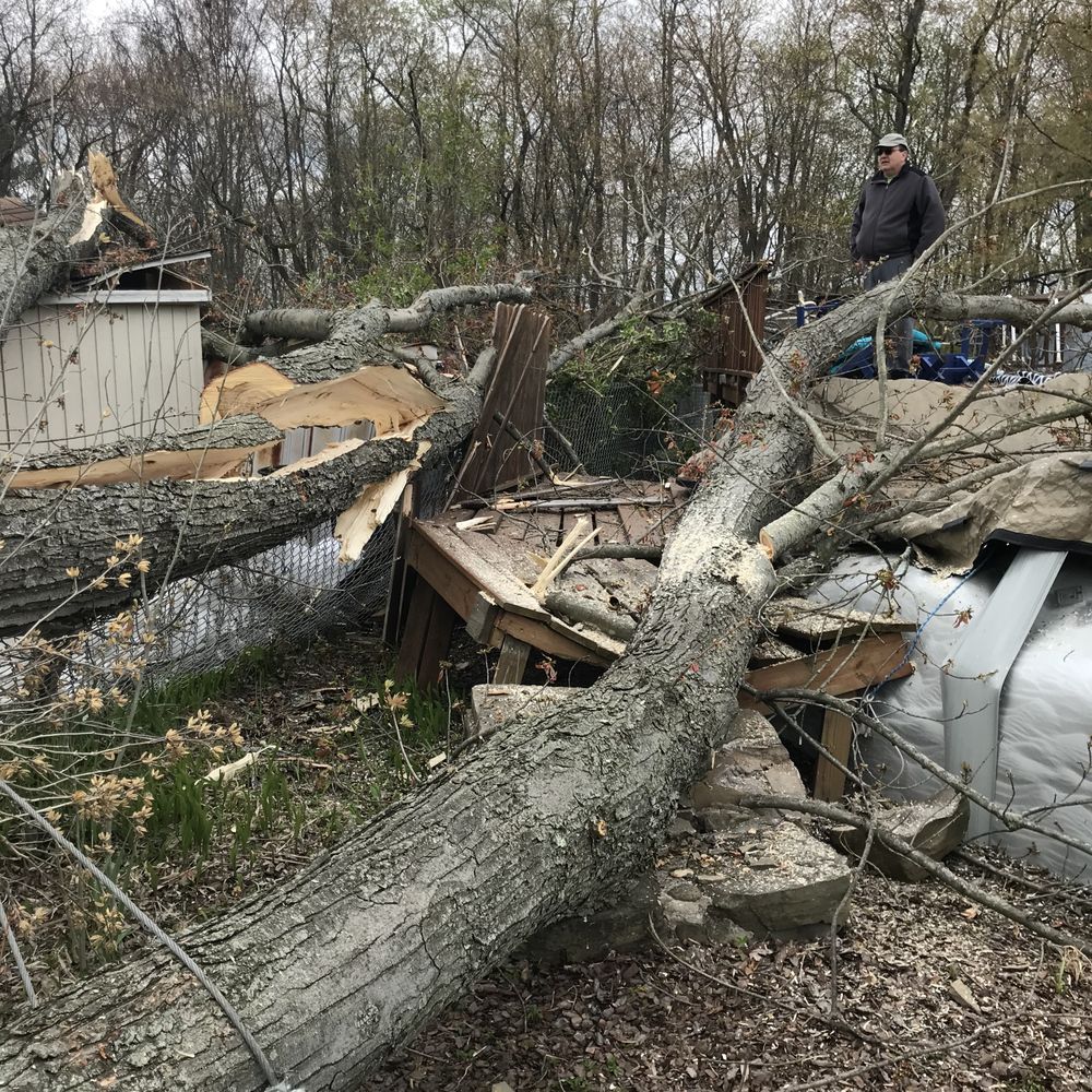 Phelps Construction - a man standing on a fallen tree - General Contractors Near Me Phelps Construction - a man standing on a fallen tree - General Contractors Near Me