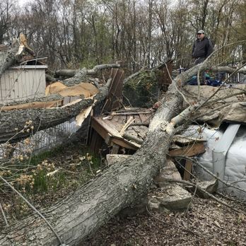 Phelps Construction - a man standing on a fallen tree - General Contractors Near Me Phelps Construction - a man standing on a fallen tree - General Contractors Near Me