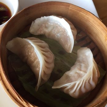 Roots - big pork dumplings - Asian Fusion Near Me - Princeton, New Jersey Roots - big pork dumplings - Asian Fusion Near Me - Princeton, New Jersey