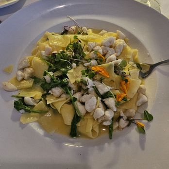 Tarpon Lodge & Restaurant - Jumbo Lump Crab Pappardelle - American Near Me - Bokeelia, Florida Tarpon Lodge & Restaurant - Jumbo Lump Crab Pappardelle - American Near Me - Bokeelia, Florida