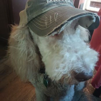 Linda's Pet Grooming - Pet Sitting Near Me - Etowah, Tennessee Linda's Pet Grooming - Pet Sitting Near Me - Etowah, Tennessee