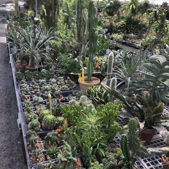 Taggart's Garden Center - Nurseries & Gardening Near Me - Hennessey, Oklahoma Taggart's Garden Center - Nurseries & Gardening Near Me - Hennessey, Oklahoma