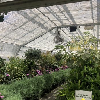 Manito Park and Botanical Gardens - Inside of the conservatory - Parks Near Me - Spokane, Washington Manito Park and Botanical Gardens - Inside of the conservatory - Parks Near Me - Spokane, Washington
