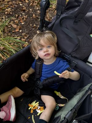 Canterbury Village by null