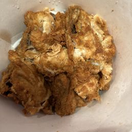 This is what chicken look like. Except for a few pieces on top the rest just looked like a pile of goo on the bottom This is what chicken look like. Except for a few pieces on top the rest just looked like a pile of goo on the bottom