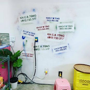 Hem 377 - Cafes Near Me - Vancouver, British Columbia