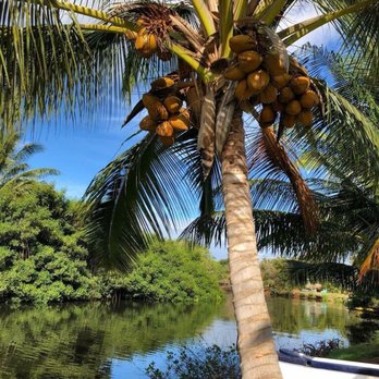 Tsue's Farm - Paddleboarding Near Me - Haleiwa, Hawaii Tsue's Farm - Paddleboarding Near Me - Haleiwa, Hawaii