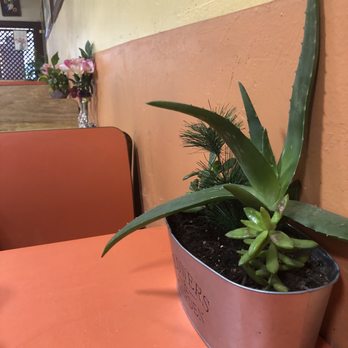Velarde's Fruits - Cute Plant! Bringing all the home vibes - Juice Bars & Smoothies Near Me - Los Angeles, California