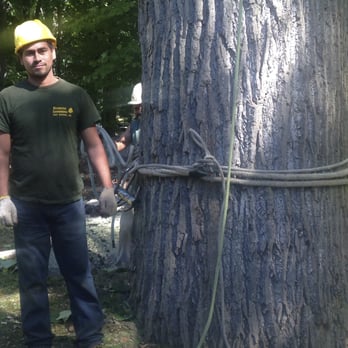 Westchester Environmental Tree Service - Tree Services Near Me - Somers, New York Westchester Environmental Tree Service - Tree Services Near Me - Somers, New York
