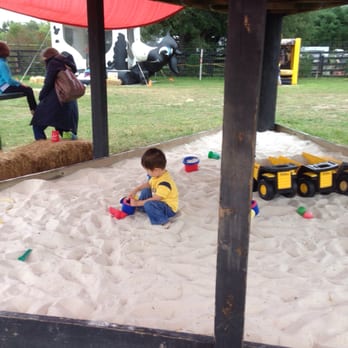 Pumpkin Village - Sand box - Festivals Near Me - Leesburg, Virginia Pumpkin Village - Sand box - Festivals Near Me - Leesburg, Virginia