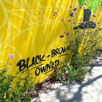 The Plant Chica - Nurseries & Gardening Near Me - leimert park, California The Plant Chica - Nurseries & Gardening Near Me - leimert park, California