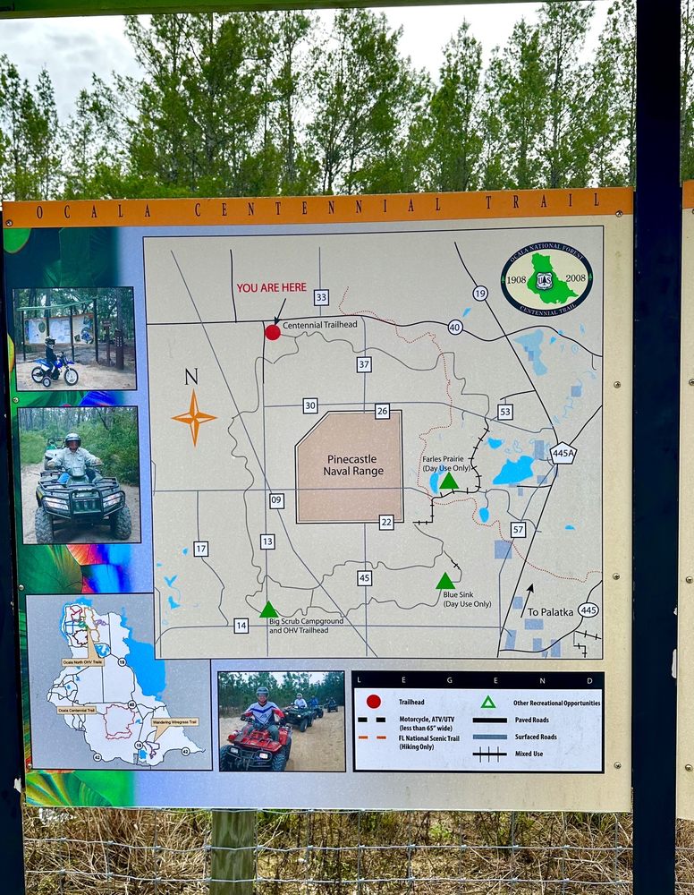 Ocala National Forest Image