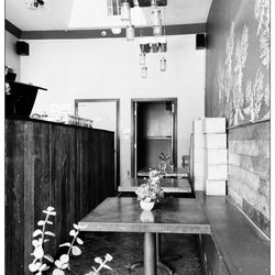 The Punchbowl Los Angeles - Organic Seats.