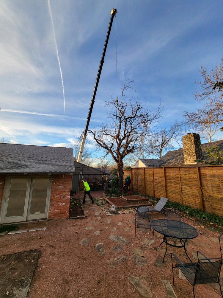 R&B Trees Trees Trees - tree service in Oklahoma City, OK