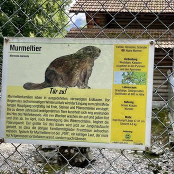 Wildpark Brienz - Petting Zoos Near Me - Brienz, BE