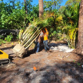 Arrow Landscaping and Designs - a man working on a tree - Tree Services Near Me Arrow Landscaping and Designs - a man working on a tree - Tree Services Near Me