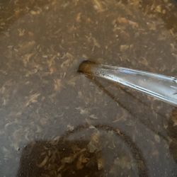 Hot & Sour Soup