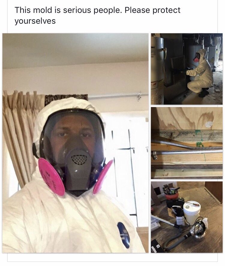 Mold Inspection Plus - mold inspector in Bear, DE