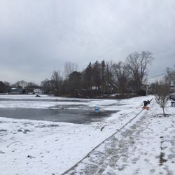 Fulton Pond and Park - Winter at Fulton Pond