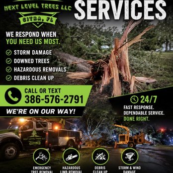 Next Level Trees - Tree Services Near Me - Citra, Florida Next Level Trees - Tree Services Near Me - Citra, Florida