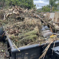 JB & Son Junk Hauling & Demolition - Landscape clean up