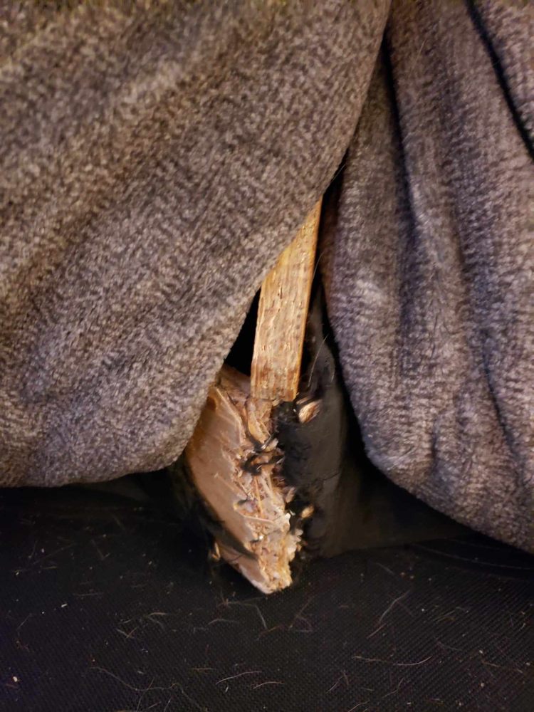 Montage Furniture Services - upholstery in Grand Rapids, MI