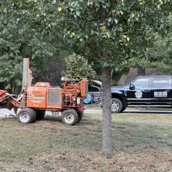 MTZ Professional Tree Services