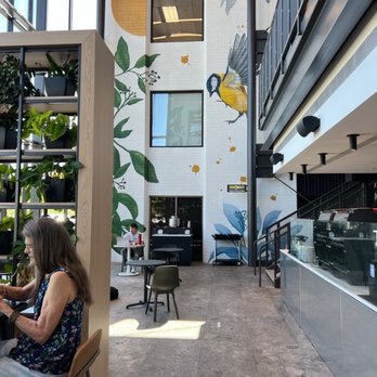 Provision - Order & pick up counter - Coffee & Tea Near Me - Phoenix, Arizona