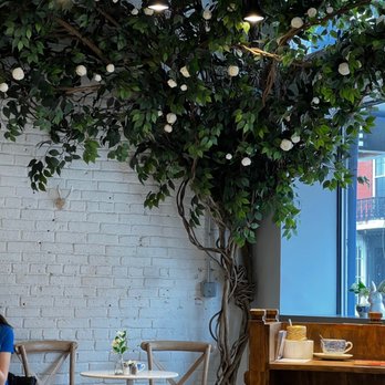 maman - Indoor decor - Breakfast & Brunch Near Me - Bethesda, Maryland
