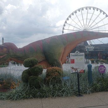 The Island - Amusement Parks Near Me - Pigeon Forge, Tennessee The Island - Amusement Parks Near Me - Pigeon Forge, Tennessee