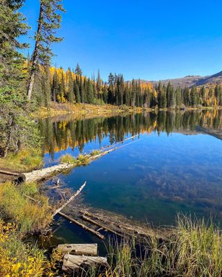 Big Cottonwood Canyon by null