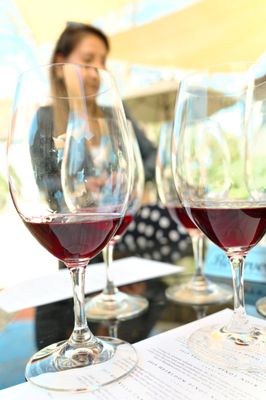 Etude Wines by null