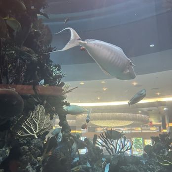 Chart House - Seafood Near Me - Las Vegas, Nevada Chart House - Seafood Near Me - Las Vegas, Nevada