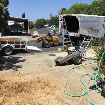 Sierra Valley Tree Service - Tree Services Near Me - Sacramento, California Sierra Valley Tree Service - Tree Services Near Me - Sacramento, California