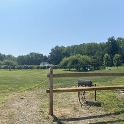 6 Mile Cellars - View