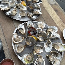 Oysters