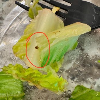 Angie's Lobster - Another bug - Seafood Near Me - Mesa, Arizona