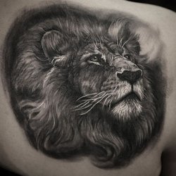 Stefano's Tattoo Studio - Lion by Stefano